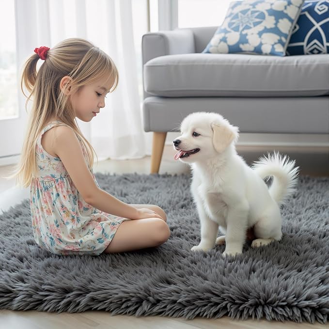 Area Rugs 9x12 Living Room, Large Area Rug Shag Shaggy Carpet Soft Plush Furry Bedside Rug, Machine Washable Area Rugs for Bedroom Kids Girls Boys Home Decor Anti Slip(9 x 12, Dark Grey)