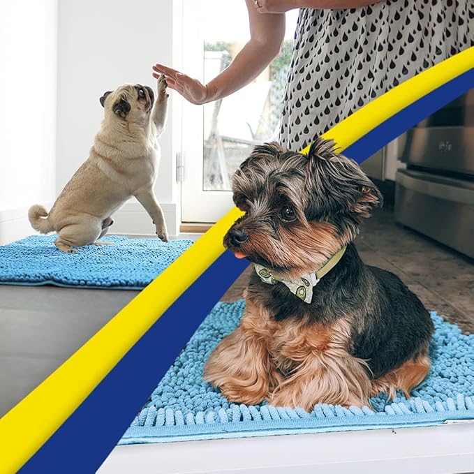 Muddy Mat® | Super Absorbent Door Mat Indoor, Microfiber Quick Dry Chenille Entryway Rug, Non-Slip Front Door Mat, Indoor Mats for Entryway, Machine Washable Pet Rug, Sky Blue 48"x72"