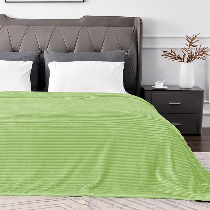 BEDELITE Fleece Blanket Queen Size – 3D Ribbed Jacquard Soft and Warm Decorative Fuzzy Blankets – Cozy, Fluffy, Plush Lightweight Throw Blankets for Couch, Bed, Sofa(Sage Green, 90x90 inches)