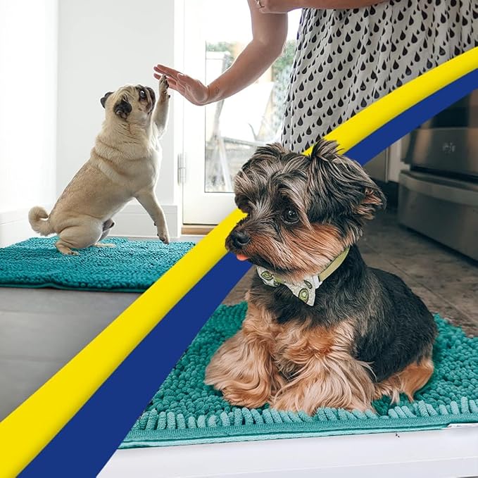 Muddy Mat® | Super Absorbent Door Mat Indoor, Microfiber Quick Dry Chenille Entryway Rug, Non-Slip Front Door Mat, Indoor Mats for Entryway, Machine Washable Pet Rug, Teal 24"x36"