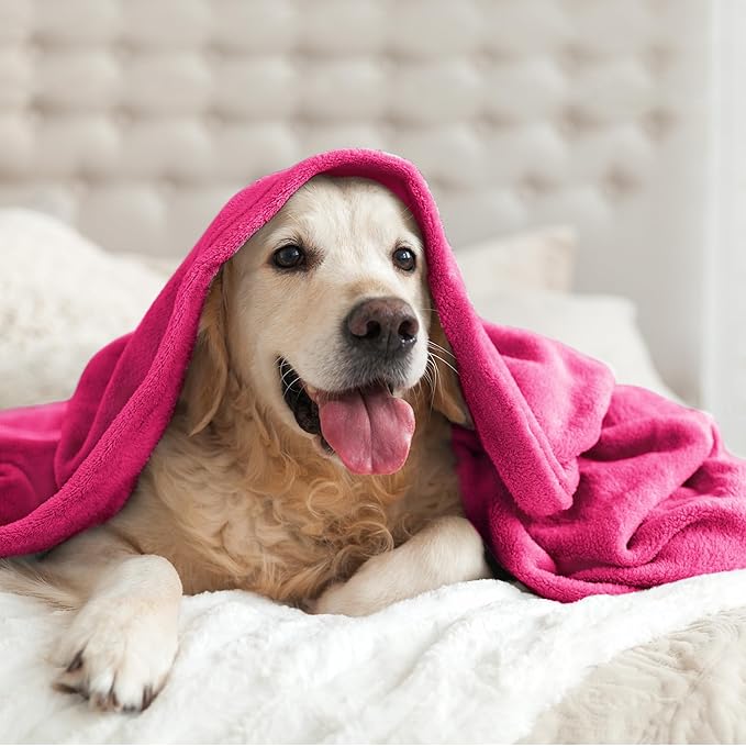 BEDELITE Fleece Blanket Hot Pink Valentines Throw Blanket for Couch & Bed, Luxury Plush Cozy Fuzzy Blanket 50" x 60", Super Soft Warm Lightweight Throw Blanket for Travel Camping