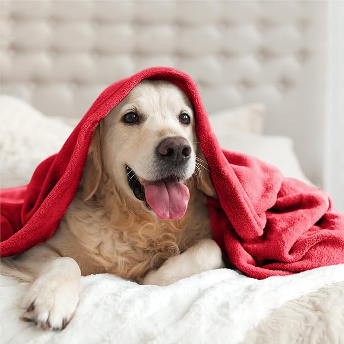 BEDELITE Fleece Blanket Twin Size Red Throw Blanket for Couch & Bed, Luxury Plush Cozy Fuzzy Blanket 60x80 inches, Super Soft Warm Lightweight Throw Blanket for Travel Camping