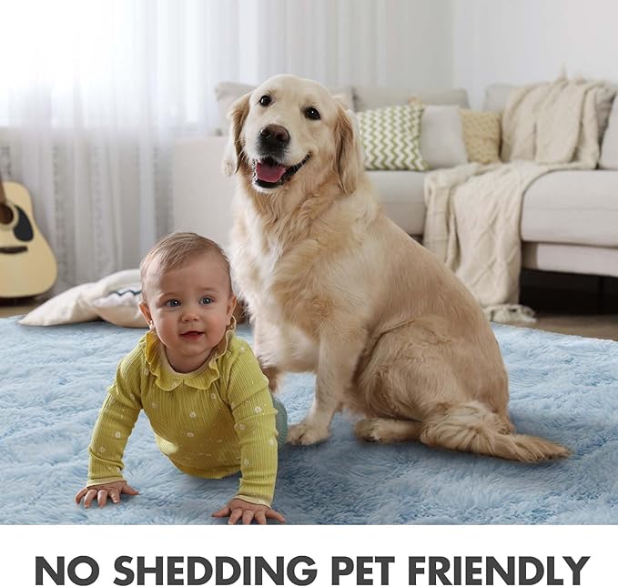 6x9 Ft Large Shag Rugs for Living Room Decor, Ultra Soft Fluffy Furry Area Rugs for Bedroom Indoor Floor, Aesthetic Carpet for Kids Home (Light Blue)