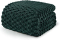 Exclusivo Mezcla Fleece Twin Blanket for Bed, Extra Large Fuzzy Forest Green Bed Blankets, Soft Cozy Plush Sofa Throws for All Seasons, 60x80 Inches