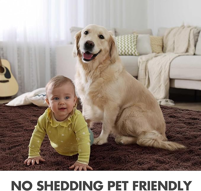 6x9 Ft Large Shag Rugs for Living Room Decor, Ultra Soft Brown Fluffy Furry Area Rugs for Bedroom Indoor Floor, Aesthetic Carpet for Kids Home