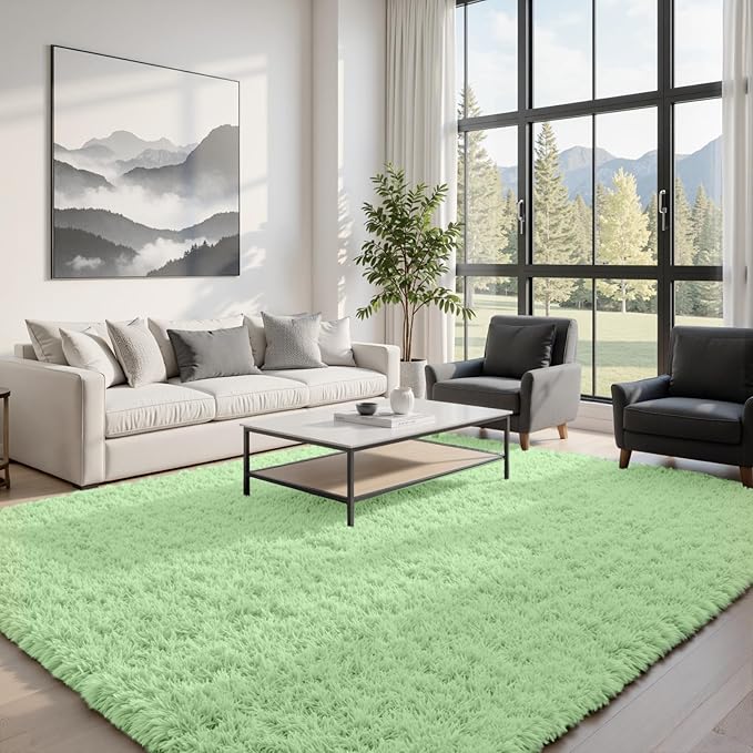 6x9 Area Rugs for Living Room Rug: Soft Fluffy Shag Mint Green Rugs for Bedroom, Non-Slip Large Fuzzy Plush Rug Indoor Floor Carpet for Nursery Kids Boys Girls Room, Dorms, Playroom, Modern Home Decor
