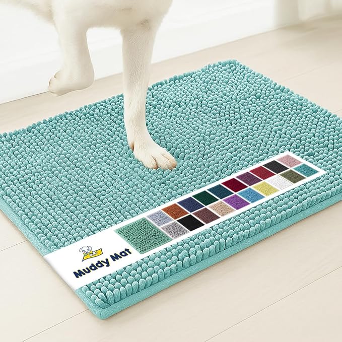 Muddy Mat® | Super Absorbent Door Mat Indoor, Microfiber Quick Dry Chenille Entryway Rug, Non-Slip Front Door Mat, Indoor Mats for Entryway, Machine Washable Pet Rug, Seafoam Green 30"x19"
