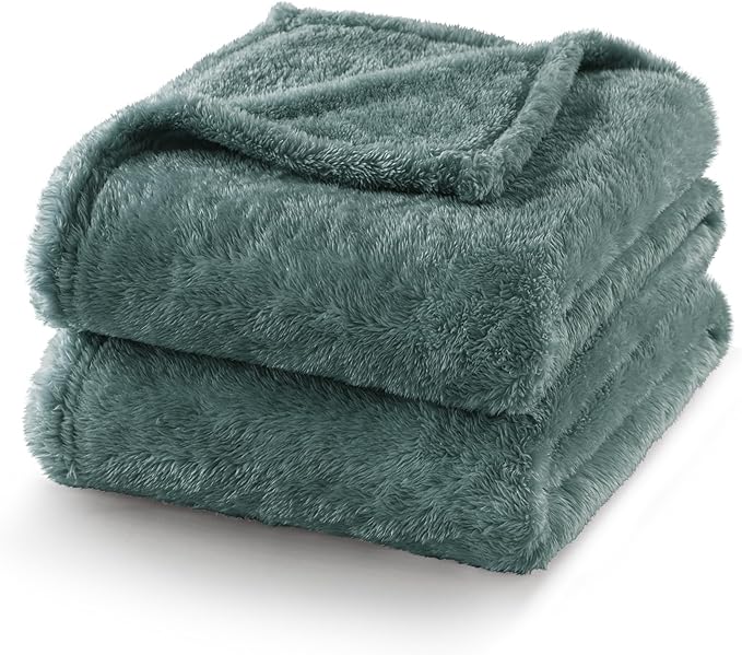 Exclusivo Mezcla Plush Fuzzy Fleece Bed Blanket Twin Size, Super Soft, Fluffy and Warm Blankets for Couch, Bed, All Season (Celadon, 90x66 inches)
