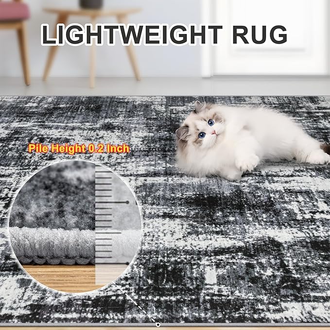 Area Rugs 10x12 Living Room - Washable Rug Modern Abstract Soft Large Neutral Non-Slip Carpet Indoor Floor Thin Carpets for Bedroom Dining Room Farmhouse Nursery Home Office Black