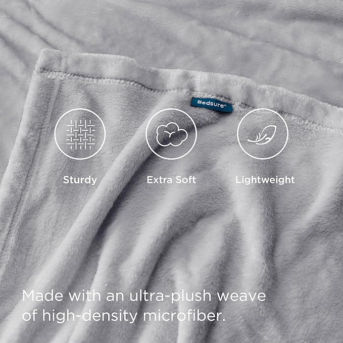 Bedsure GentleSoft Bedding Fleece Blanket for Girls and Boys - Soft Cozy Cute Small Throw Blankets for Travel, 43x55 Inches, Light Grey