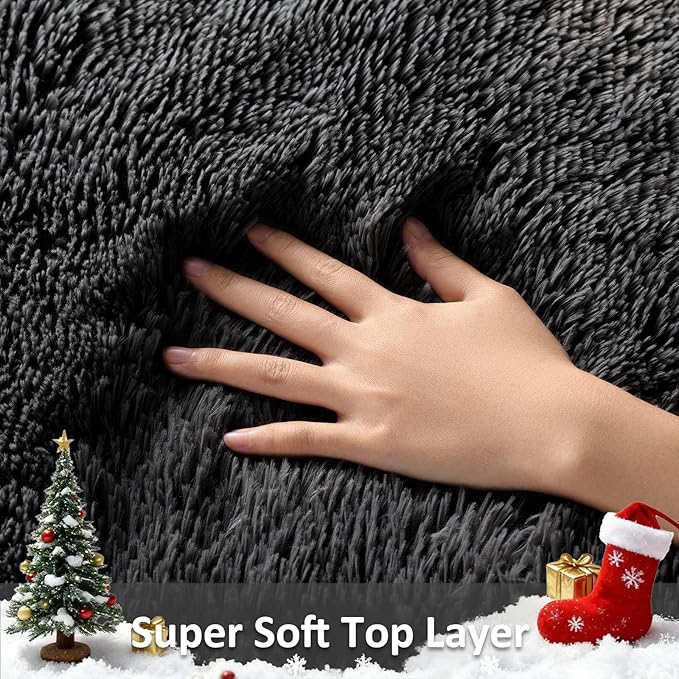Ophanie Small Black Entryway Throw Rugs for Bedroom, 2x3 Mini Area Rug, Affordable Non Slip Fluffy Carpet, Fuzzy Soft Living Room Rugs, Home Decor Aesthetic, Nursery