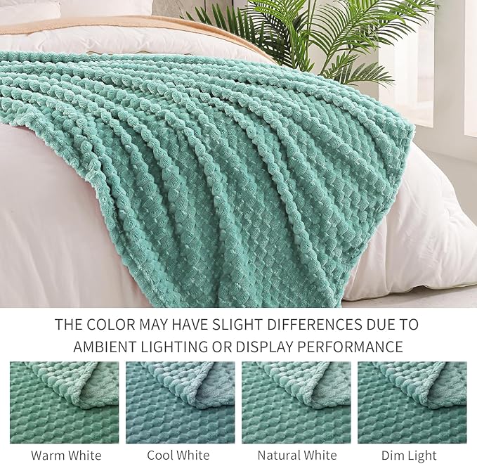 Exclusivo Mezcla Fleece Twin Blanket for Bed, Extra Large Fuzzy Celadon Bed Blankets, Soft Cozy Plush Sofa Throws for All Seasons, 60x80 Inches