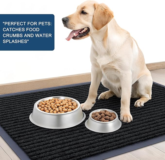 OLANLY Front Door Mat Indoor Outdoor Entrance, Waterproof Heavy Duty Doormat, Fade Resistant, Low Profile, Easy Clean Patio Porch Welcome Floor Mats for Entry, 59x23, Black