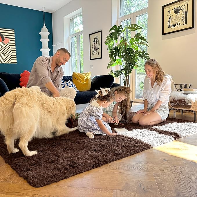 OLANLY Area Rugs for Living Room Bedroom, Machine Washable 4x5.9 ft Soft Fluffy Shaggy Bedside Rug, Indoor Floor Carpet for Kids Girls and Boys, Dorms, Nursery Rooms, Home Decor Aesthetic, Coffee