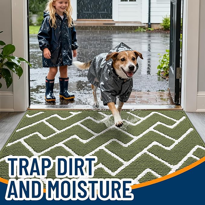 OLANLY Front Door Mat, Non-Slip Rubber Backing, Dirt Resistant and Absorbent, Washable, Easy to Clean Low-Profile Indoor Doormat for Back Door, Entryway, Inside Entrance, 36x24, Green