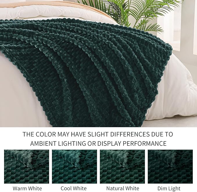 Exclusivo Mezcla Fleece Twin Blanket for Bed, Extra Large Fuzzy Forest Green Bed Blankets, Soft Cozy Plush Sofa Throws for All Seasons, 60x80 Inches