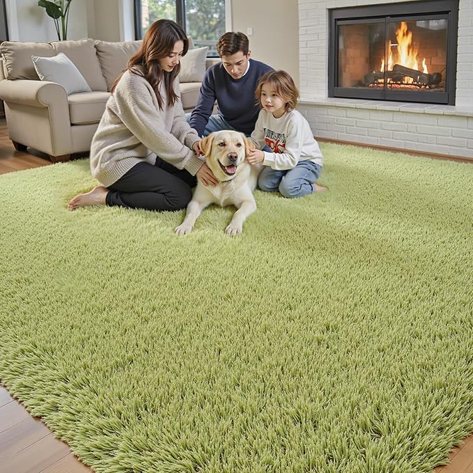 Green Grass Area Rugs for Bedroom, 4x6 Shag Fluffy Carpet, Fuzzy Furry Plush Soft Cute Kids Baby Girls Shaggy Bedside Indoor Floor Rug for Teen Dorm Home Decor Aesthetic, Nursery(4 x 6, Grass Green)