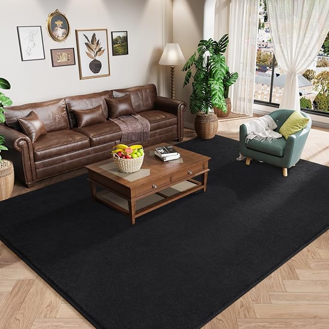 Amearea Large Modern Area Rugs for Bedroom Living Room, 6x9 Feet Black Thickened Memory Foam Rug, Fluffy Indoor Washable Rugs Non Slip Minimalist Carpet for Boys Girls Dorm Nursery Room Decor