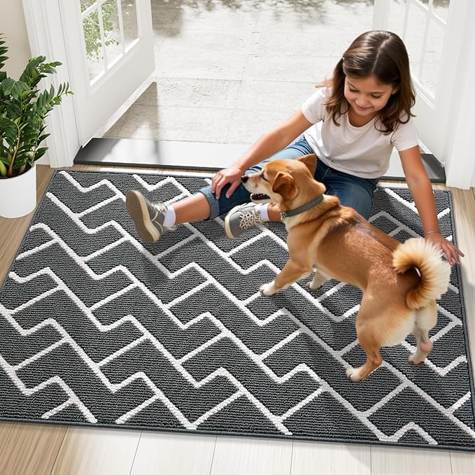 OLANLY Front Door Mat, Non-Slip Rubber Backing, Dirt Resistant and Absorbent, Washable, Easy to Clean Low-Profile Indoor Doormat for Back Door, Entryway, Inside Entrance, 48x32, Charcoal