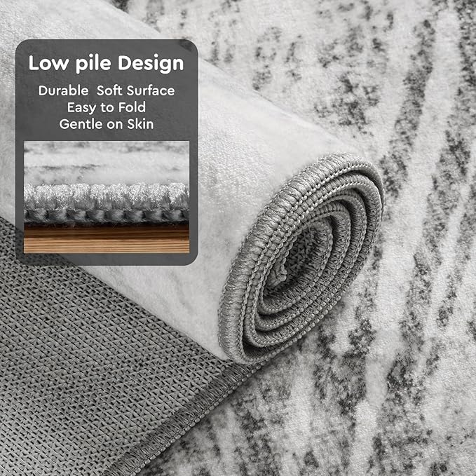 4x6 Rug Small Non Slip Area Rug Ultra Soft Machine Washable Low Pile Modern Abstract Dahlia Indoor Carpet Rugs for Bedroom Living Room Entryway Kitchen Bedside, Grey