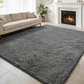 Shag Area Rug for Bedroom 4x6,Deep Grey Fluffy Area Rugs for Living Room,Soft Fuzzy Rug Non-Shedding Indoor Plush Carpet for Kids Bedroom Nursery Dorm Home Decor