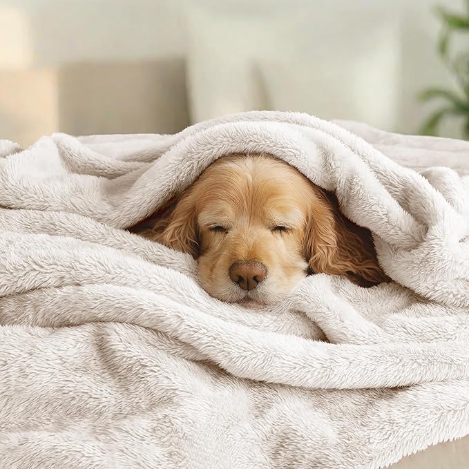 Exclusivo Mezcla Plush Fuzzy Fleece Bed Blanket Twin Size, Super Soft, Fluffy and Warm Blankets for Couch, Bed, All Season (Beige, 90x66 inches)