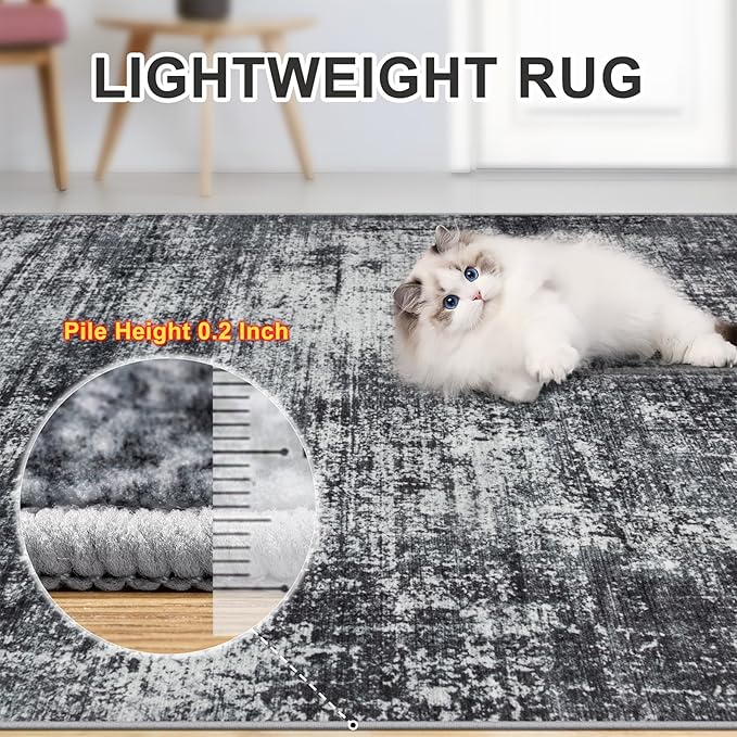 Area Rugs 10x12 Living Room - Washable Rug Modern Abstract Soft Large Neutral Non-Slip Carpet Indoor Floor Thin Carpets for Bedroom Dining Room Farmhouse Nursery Home Office Dark Black