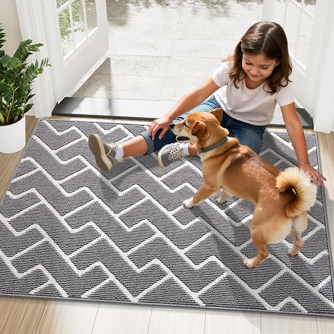 OLANLY Front Door Mat, Non-Slip Rubber Backing, Dirt Resistant and Absorbent, Washable, Easy to Clean Low-Profile Indoor Doormat for Back Door, Entryway, Inside Entrance, 36x24, Grey