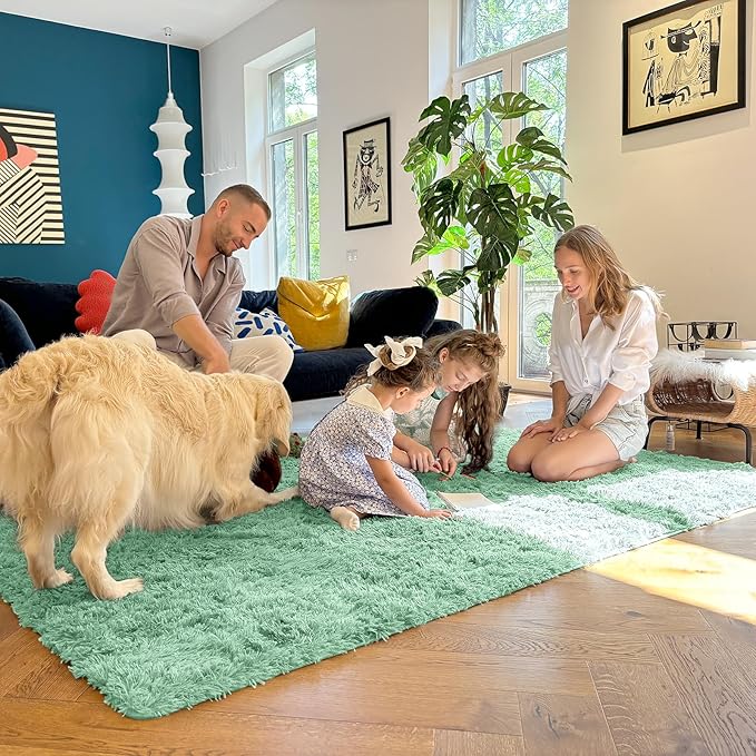OLANLY 8x10 Machine Washable Large Area Rugs for Living Room, Bedroom, Soft Fluffy Shaggy Bedside Rug, Indoor Floor Carpet for Kids Girls and Boys, Dorms, Nursery, Home Decor Aesthetic, Mint Green