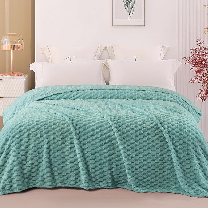 Exclusivo Mezcla Fleece Twin Blanket for Bed, Extra Large Fuzzy Celadon Bed Blankets, Soft Cozy Plush Sofa Throws for All Seasons, 60x80 Inches