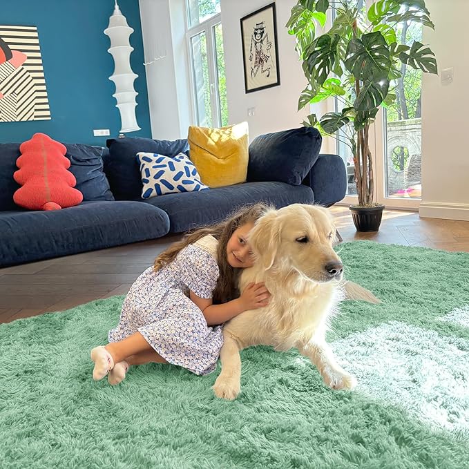 OLANLY 8x10 Machine Washable Large Area Rugs for Living Room, Bedroom, Soft Fluffy Shaggy Bedside Rug, Indoor Floor Carpet for Kids Girls and Boys, Dorms, Nursery, Home Decor Aesthetic, Mint Green