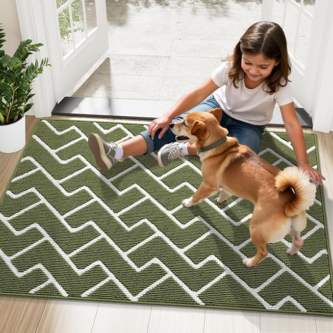 OLANLY Front Door Mat, Non-Slip Rubber Backing, Dirt Resistant and Absorbent, Washable, Easy to Clean Low-Profile Indoor Doormat for Back Door, Entryway, Inside Entrance, 40x32, Green