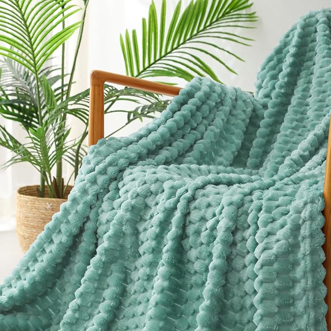 Exclusivo Mezcla Fleece Twin Blanket for Bed, Extra Large Fuzzy Celadon Bed Blankets, Soft Cozy Plush Sofa Throws for All Seasons, 60x80 Inches