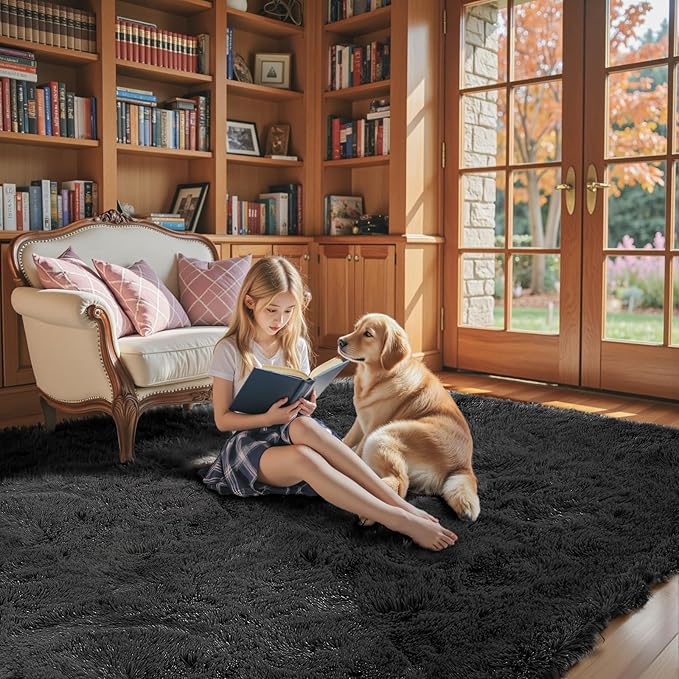 Black Rug for Bedroom, Small Area Rugs 3x5, Non-Shedding Indoor Shaggy Rug for Living Room Home Decor(3 x 5, Black)
