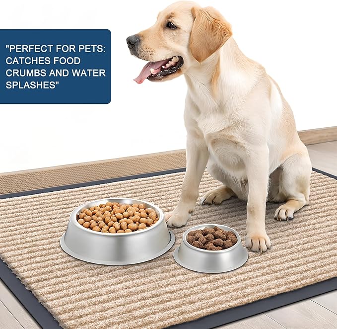 OLANLY Front Door Mat Indoor Outdoor Entrance, Waterproof Heavy Duty Doormat, Fade Resistant, Low Profile, Easy Clean Patio Porch Welcome Floor Mats for Entry, 59x35, Beige