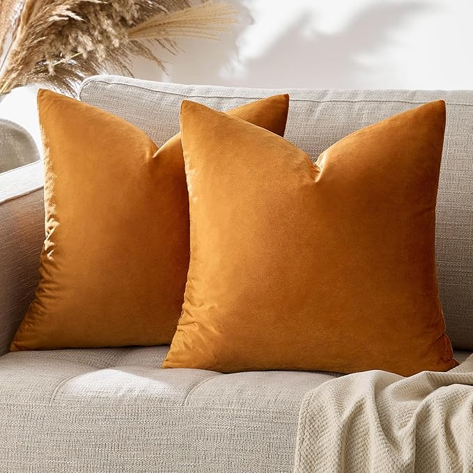 GIGIZAZA Decorative Couch Throw Pillow Covers,Set of 2 Burnt Orange Square Pillow Cushion Covers 24x24,Pillow Cases Velvet Pillow Covers