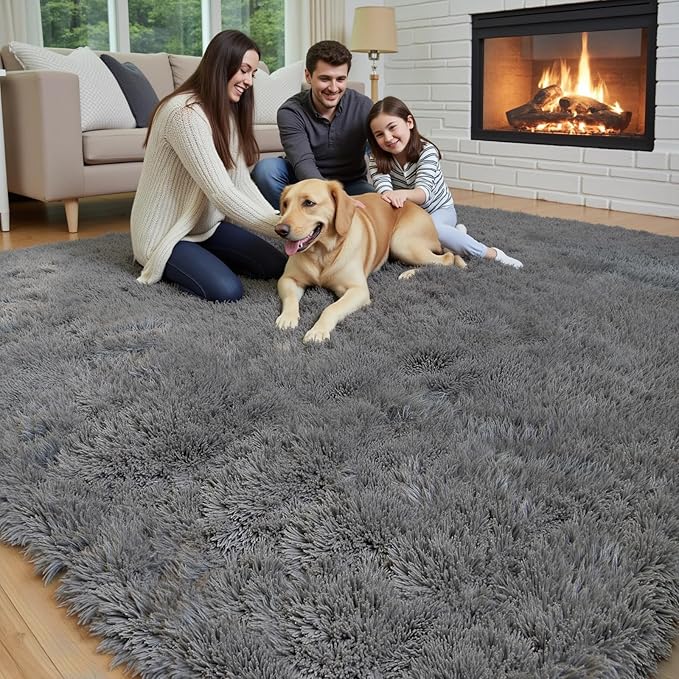 8x10 Area Rugs for Living Room Bedroom Rug, Large Area Rug Shag Shaggy Carpet Soft Plush Furry Bedside, Rugs for Home Decor (Dark Grey, 8x10 Feet)