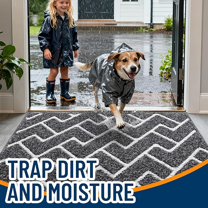 OLANLY Front Door Mat, Non-Slip Rubber Backing, Dirt Resistant and Absorbent, Washable, Easy to Clean Low-Profile Indoor Doormat for Back Door, Entryway, Inside Entrance, 36x24, Black