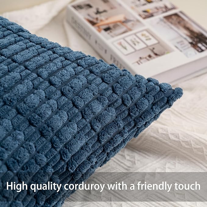 Pack of 2 Corduroy Decorative Throw Pillow Covers 20x20 Inch Soft Striped Pillow Covers Modern Farmhouse Home Decor for Sofa Living Room Couch Bed（Sky Blue）