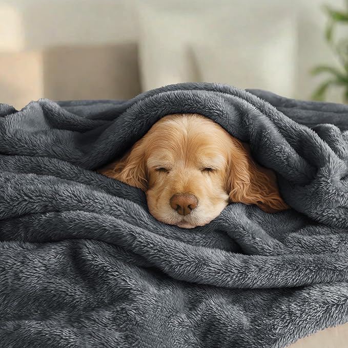 Exclusivo Mezcla Plush Fuzzy Fleece Bed Blanket King Size, Super Soft, Fluffy and Warm Blankets for Couch, Bed, All Season (Dark Grey, 90x104 inches)