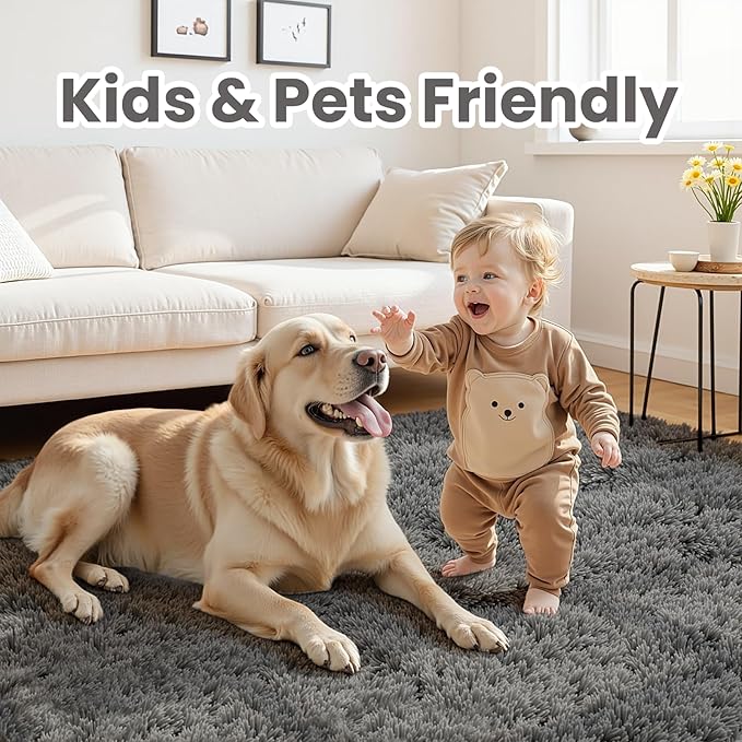 5x7 Area Rugs for Living Room: Ultra Soft Fluffy Shag Gray Rug for Bedroom, Non-Slip Large Fuzzy Plush Rug Indoor Floor Carpet for Nursery Kids Boys Girls Room, Dorms, Modern Home Decor