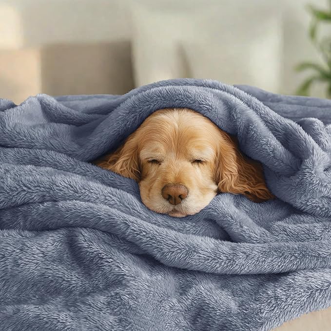Exclusivo Mezcla Plush Fuzzy Fleece Bed Blanket Queen Size, Super Soft, Fluffy and Warm Blankets for Couch, Bed, All Season (Stone Blue, 90x90 Inches)