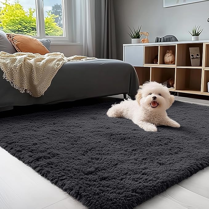 OLANLY 3x4 Machine Washable Accent Rug, Soft Fluffy Shaggy Area Rug for Bedroom, Living Room, Indoor Floor Carpet for Kids, Nursery, Home Decor, Black