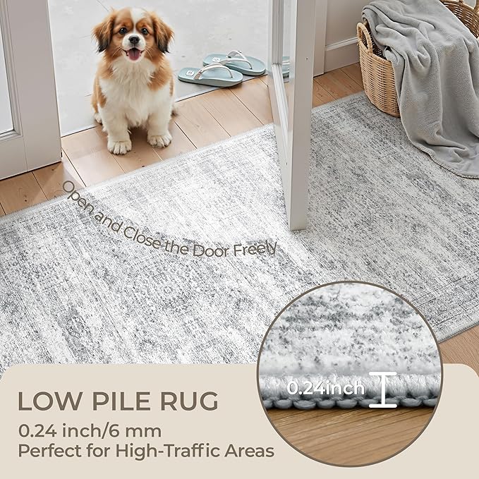3x4 Washable Area Rug for Entryway, Soft Kitchen Rugs Non Slip for Dining Room, Vintage Abstract Living Room Rug, Thin Area Rugs Indoor for Bedroom, Kids Room Decor(3'x4', Grey/Ivory)