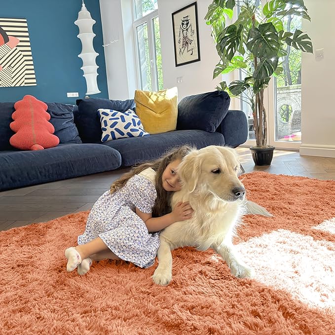 OLANLY 5x7 Machine Washable Large Area Rugs for Living Room, Bedroom, Soft Fluffy Shaggy Bedside Rug, Indoor Floor Carpet for Kids Girls and Boys, Dorms, Nursery, Home Decor Aesthetic, Muted Orange