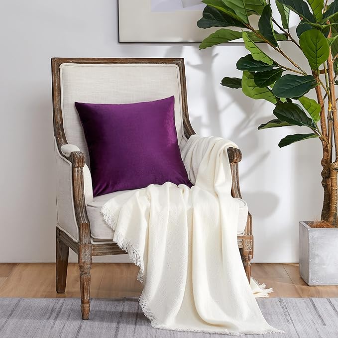 GIGIZAZA Purple Decorative Velvet Decorative 18x18 Throw Pillow Covers for Sofa Bed 2 Pack Soft Cushion Cover