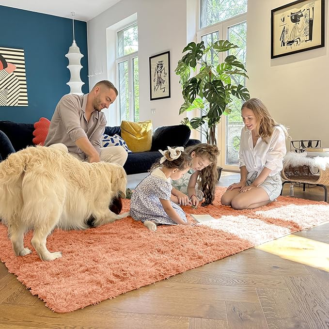 OLANLY 5x7 Machine Washable Large Area Rugs for Living Room, Bedroom, Soft Fluffy Shaggy Bedside Rug, Indoor Floor Carpet for Kids Girls and Boys, Dorms, Nursery, Home Decor Aesthetic, Muted Orange